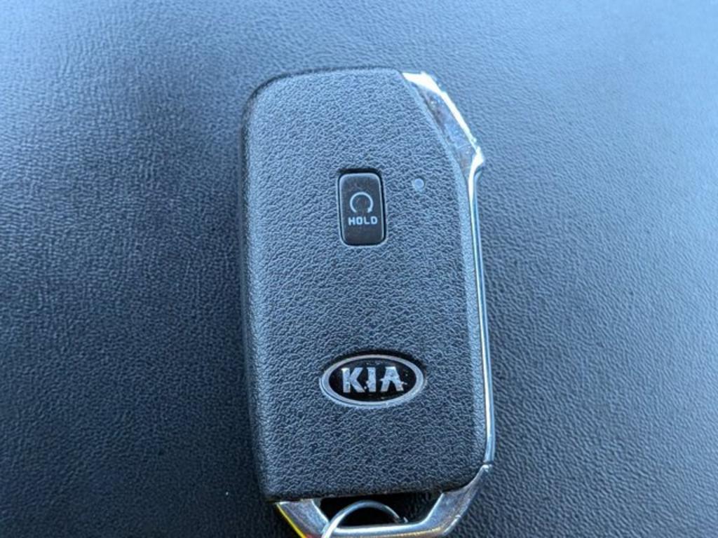 Kia Telluride photo 29